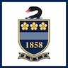 hale logo